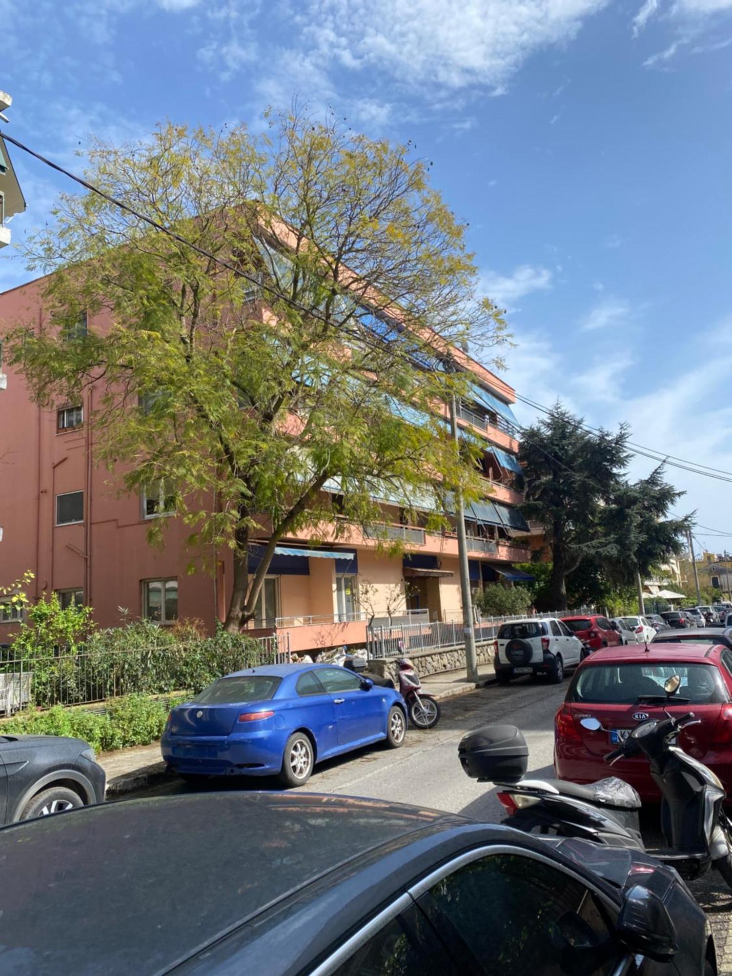 Kostas Lux Apartament *